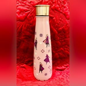 Disney Frozen 2 Brave Princess 15oz steel water bottle.  Great condition!